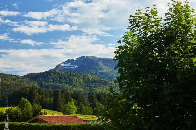 Villa Haus Almrose à Reit im Winkl Extérieur photo
